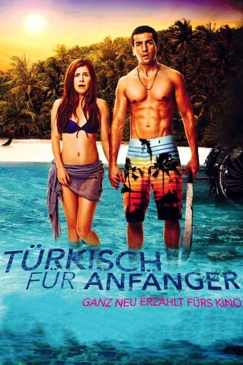 Турецкий для начинающих (2012)