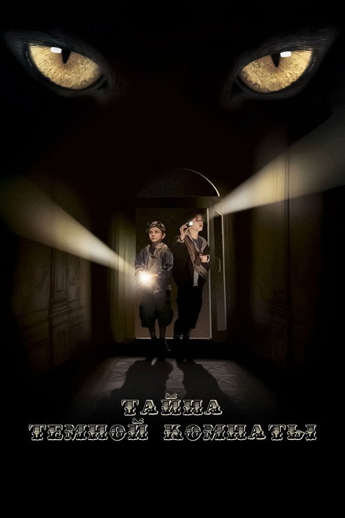 Тайна тёмной комнаты (2014)