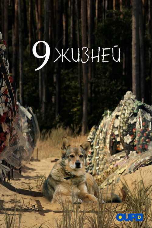 9 жизней (2022)