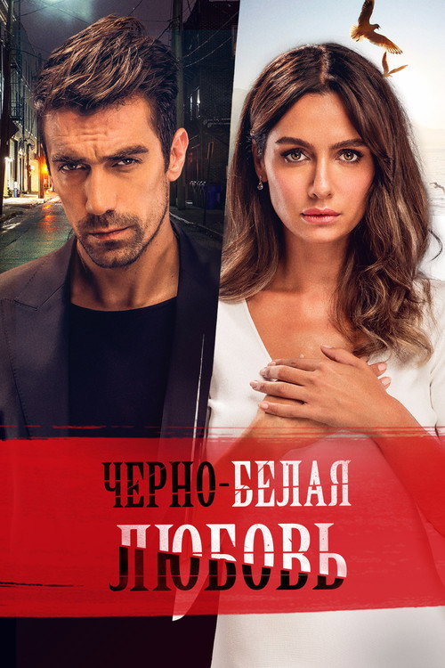 Чёрно-белая любовь (2017)