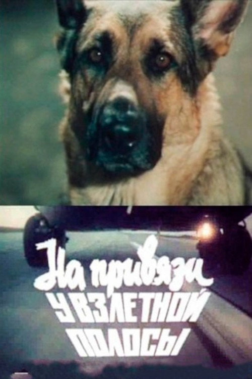 На привязи у взлетной полосы (1989)