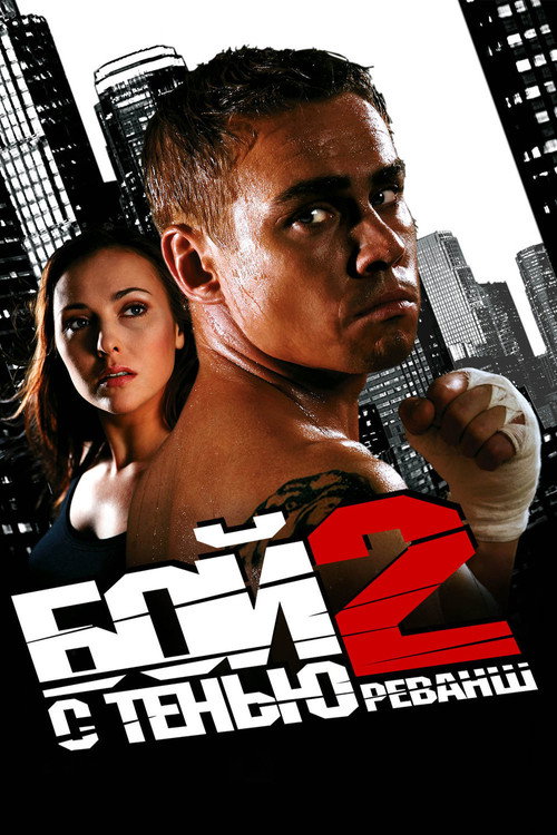 Бой с тенью 2: Реванш (2007)