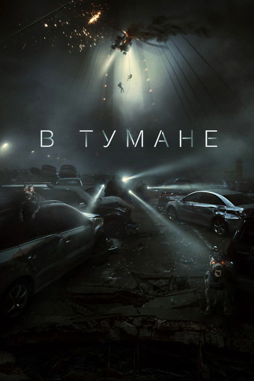 В тумане (2024)