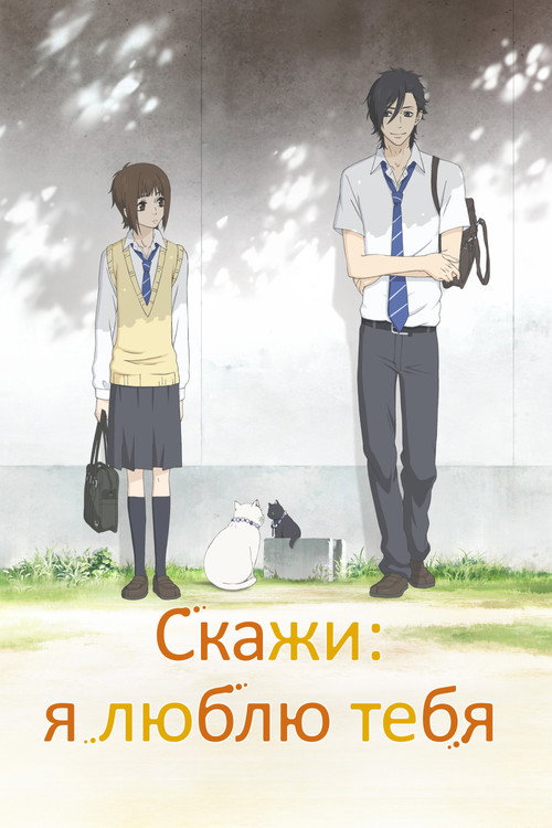 Скажи: я люблю тебя (2012)