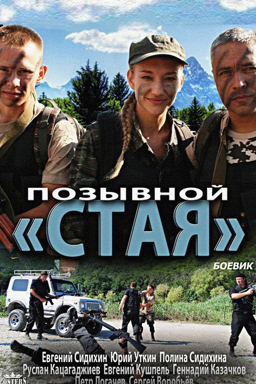 Позывной Стая (2013)